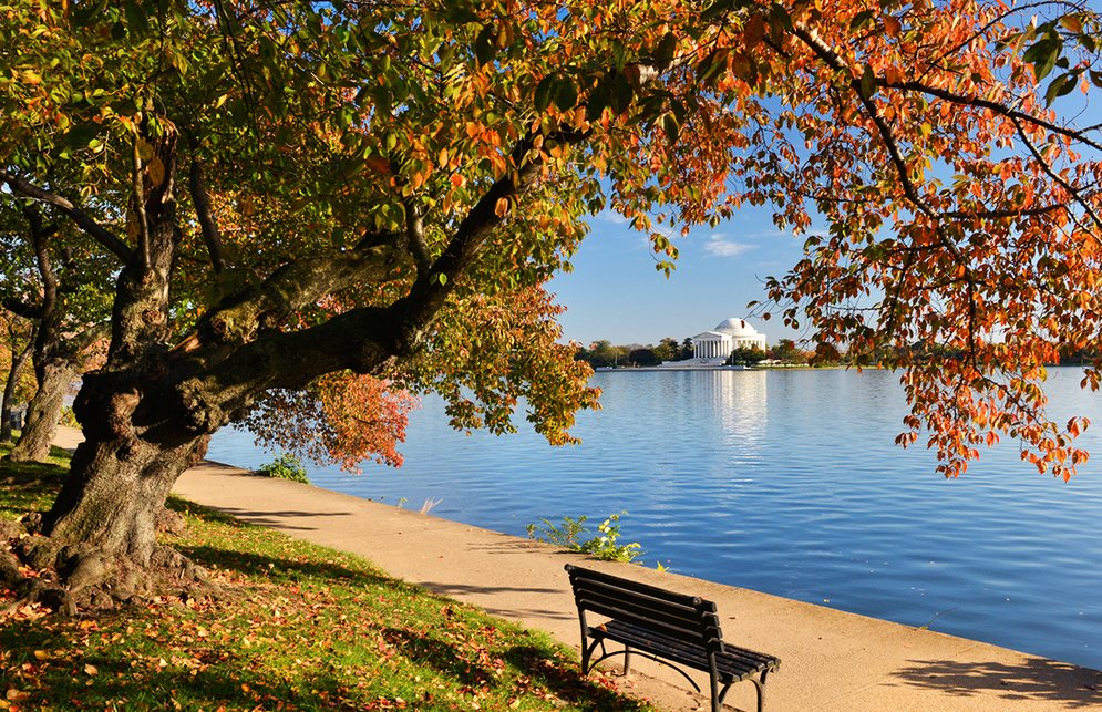 Get out of the house and go take some AMAZING fall family photos this weekend: washingtonian.com/blogs/capitalc…