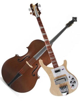 El contrabajo y el bajo eléctrico son el mismo instrumento? | Revista QUO |  Scoopnest