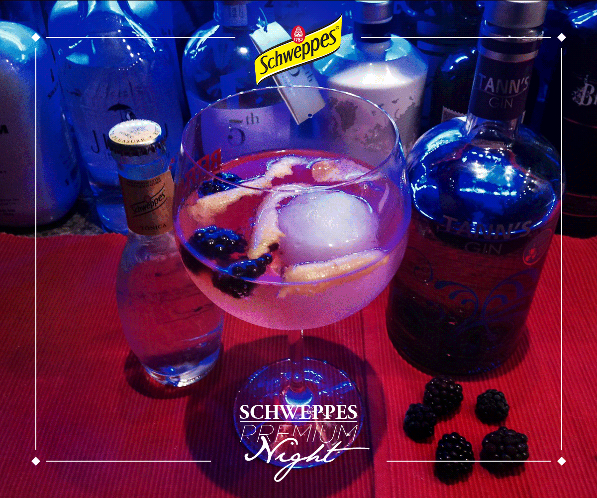 Pede um desejo para Novembro e retweeta esta imagem :) #schweppes #gintonic