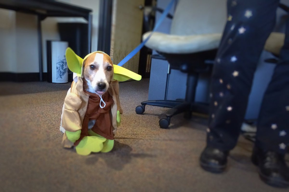 EXPLOLive's tweet photo. #HappyHalloween from us to you! https://t.co/cYuMBNPxf5 #ExploSpirit #Yoda #StarWars #Spices #KoolaidSquad https://t.co/VqM2uhaMba