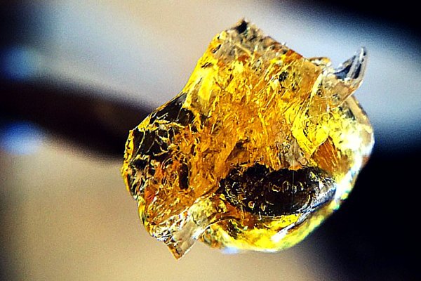 whaxyapp's tweet photo. Still have questions about #Dabbing #Cannabis #Concentrates? #Read this to become an expert: https://t.co/PiFWPKk06G https://t.co/t4wO0E2Gi0
