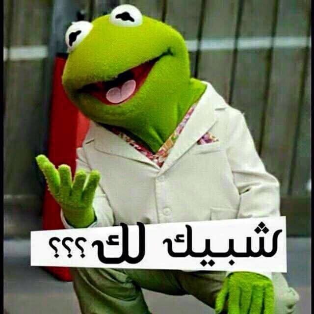 <a href="/HhgggKggy/">بسمة أمل</a> 😜