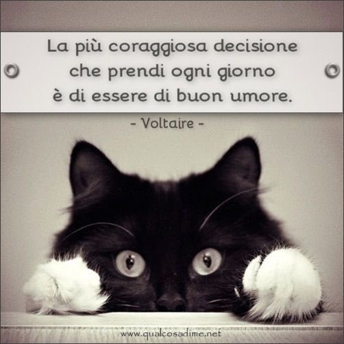 CarloGelo's tweet photo. https://t.co/Ulr935lV4F