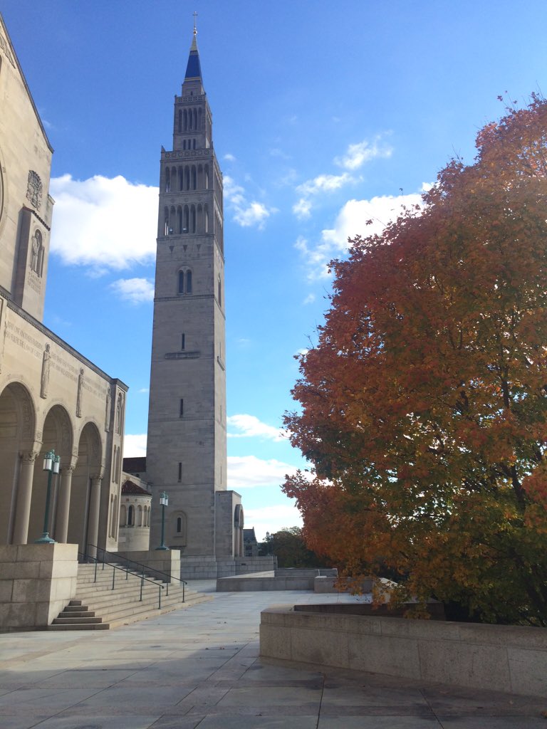 CDofA_CUA's tweet photo. Fall has come to the basilica!!! #basiligram 💓🎃 https://t.co/L9hQpnD4cR