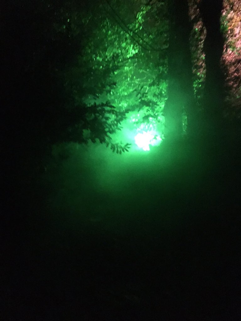 Clockwork_Audio's tweet photo. Boo at the Zoo is looking good! @DartmoorZoo #ProudSponsors #Halloween #clockworkaudio https://t.co/rJTc5P7m1h