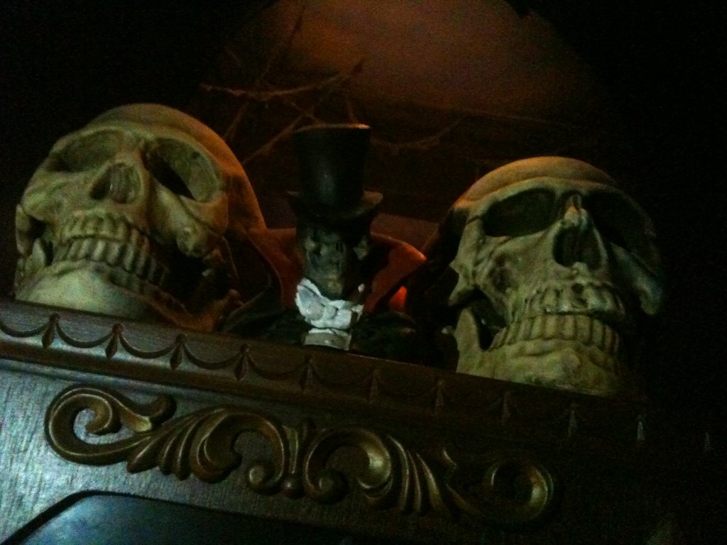 JASON PALMER tweet media