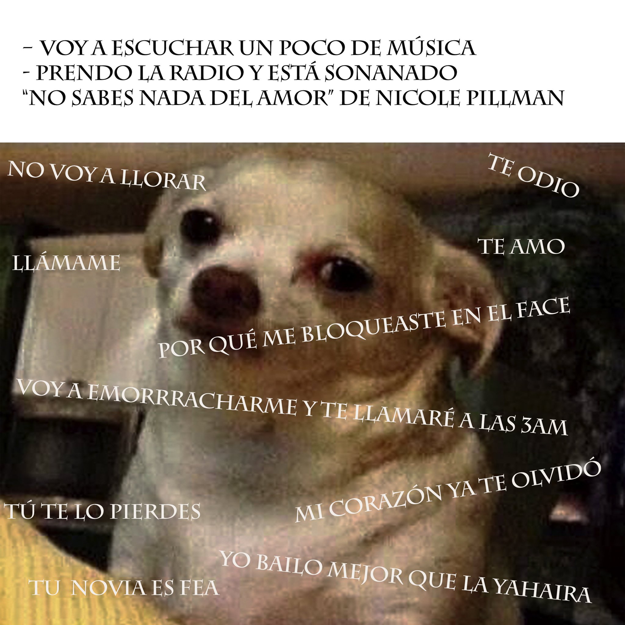 Nicole Pillman On Twitter Jajajjaja Meme NoSabesNadaDelAmor