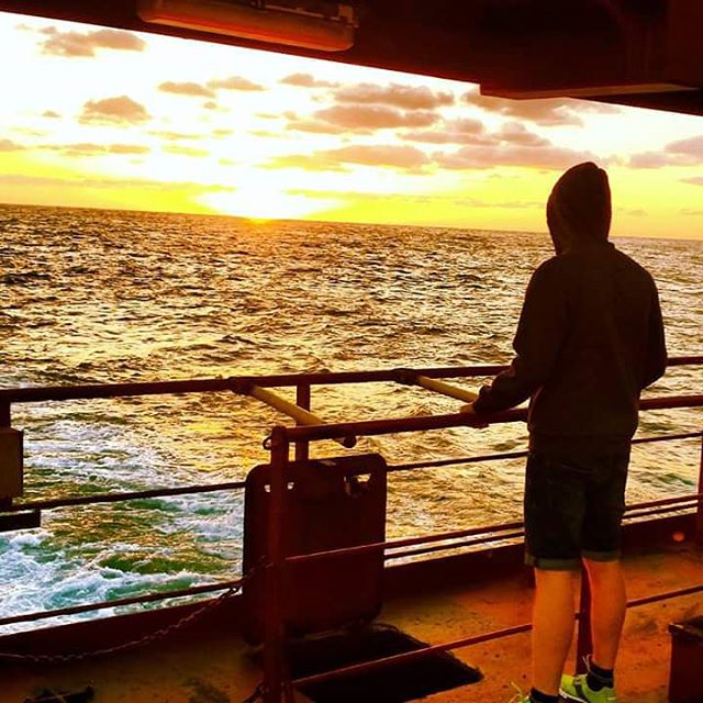 Maersk's tweet photo. Wishing everyone a beautiful #weekend from Susan Mærsk. (Image by @bonnikh) https://t.co/FZezRAS9g6