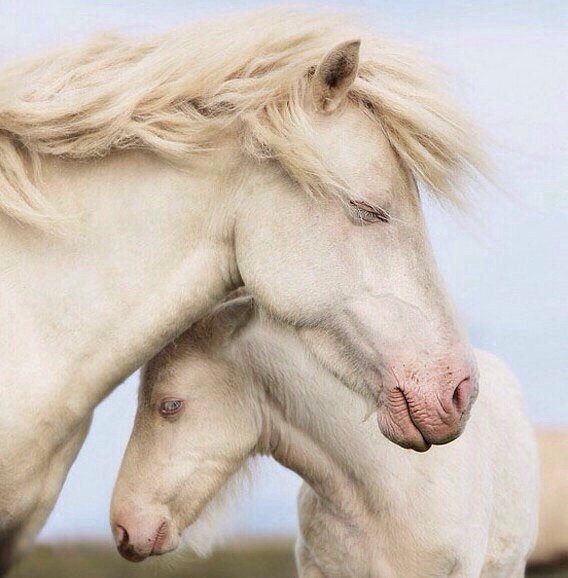 DRRRDNTS's tweet image. 