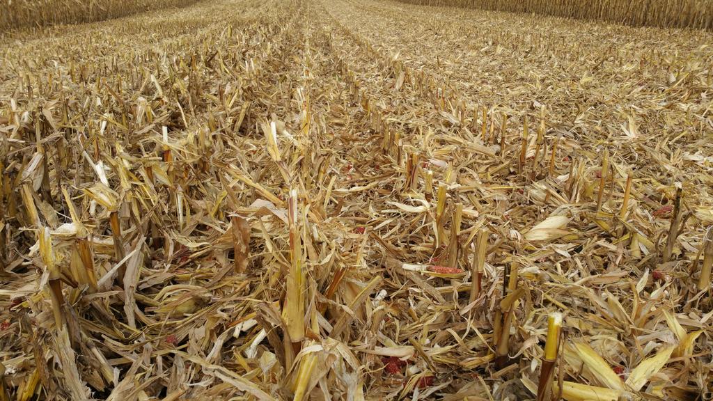 dspears2's tweet photo. Interesting to compare Chain Rolls vs. chopping head. @MattFoes https://t.co/BGjPtAobHn