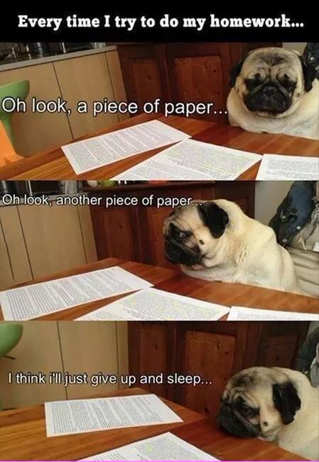 StealingHearts_'s tweet photo. Sums up my life https://t.co/8YhBIdi9Oe