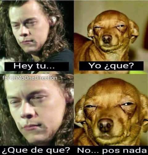 PereezGaby's tweet photo. @tvtelehit mi cara cundo no me entero de que no tengo boletos https://t.co/inHBtknZzt