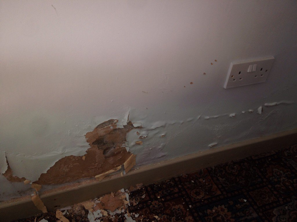 carwyn edwards tweet media