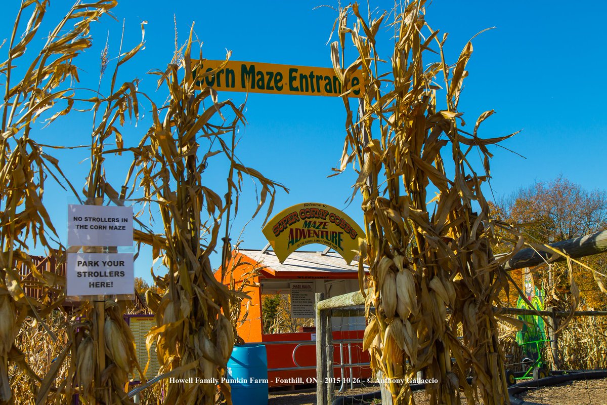 A_Gallaccio's tweet photo. #HowellsPumpkinPatch Where Families Come to Have Fun @howellsfarm @TownOfPelham @myPelham https://t.co/BYkEeO5hVf https://t.co/zatx6jbAbu