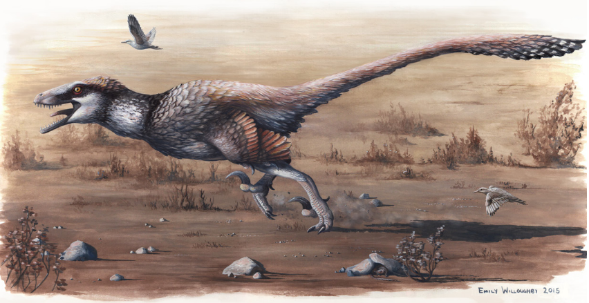 FossilEra's tweet photo. Quill knobs on the new #Dakotaraptor hint at the presence of flight features. Read more at https://t.co/HerORSJxLB https://t.co/5J6MCZt3OL