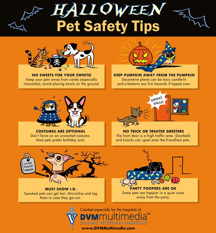 PetSitnStay's tweet image. Howl-ween is tomorrow &amp;amp; the ghouls will be out! Just a reminder to be mindful of your pets and stay safe!
#howlween