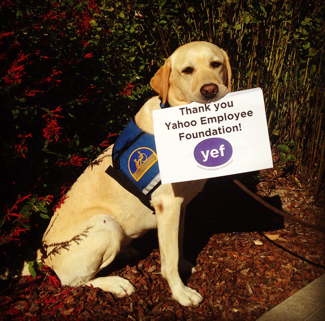 Canine Companions® tweet media