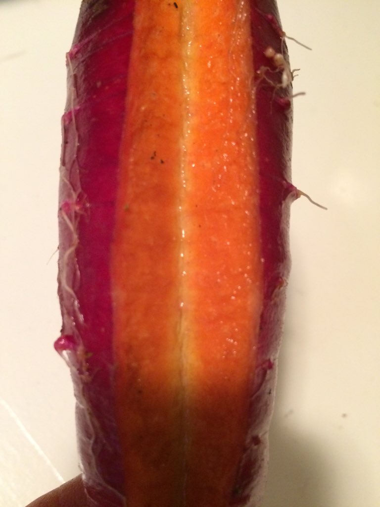 diyediblegarden's tweet photo. Nature is full of surprises!
#eatlocal #HealthyHalloween #foodrevolution #diy #farmtotable15 https://t.co/rVNF3LDEmN