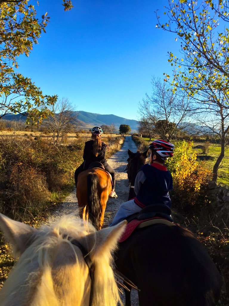 JohanBruyneel's tweet photo. We enjoyed a beautiful autumn afternoon in the Sierra de Madrid.  @centro_hipico https://t.co/tqvwtMDIKs