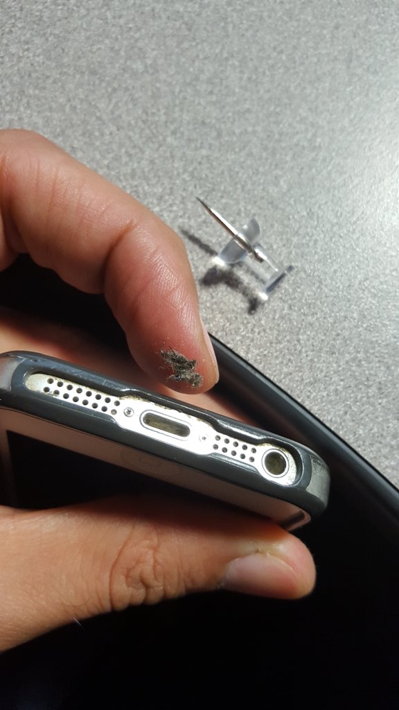 alpisan's tweet image. #iphone #chargingproblems you gotta clean the slot regularly. Look at all this lint accumulated over 2 years.