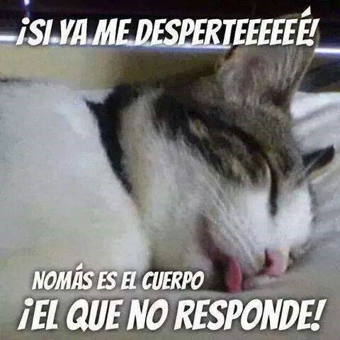 Lady_Dy10's tweet photo. No más es el cuerpo… :P https://t.co/wQZQHu6WWD