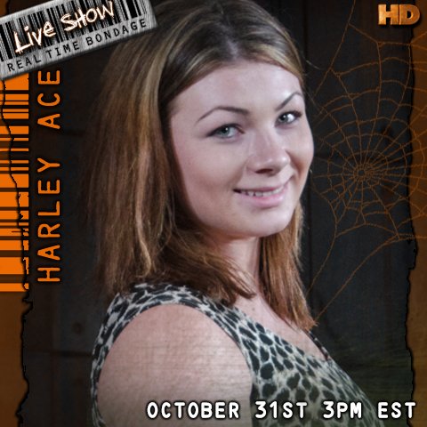 TW Pornstars - INSEX. The most retweeted pictures and videos for all time