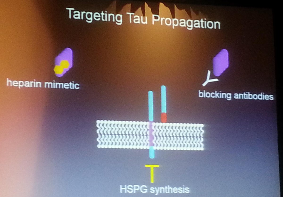 griz1's tweet photo. Mechanisms of #tau propagation &amp; ways 2 block it. #DrMarcDiamond #PIRR2015 @ACRMtweets @AANMember @TheAMSSM https://t.co/W1JSCQpxoY