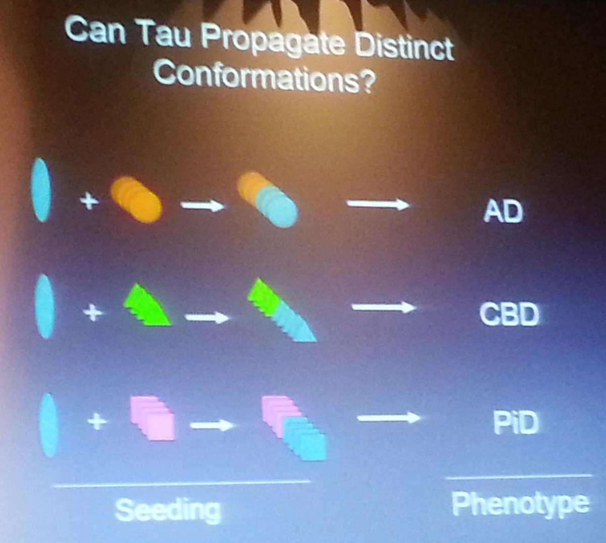 griz1's tweet photo. Different patterns of aggregation...diffnt diseases? #DrMarcDiamond #PIRR2015 @AANMember @ACRMtweets @TheNewANA1 https://t.co/XA4c5dPavg