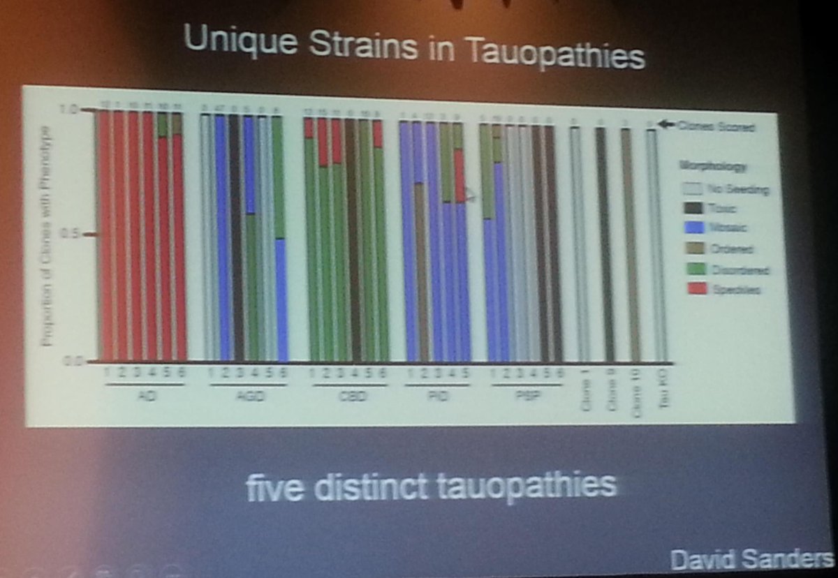 griz1's tweet photo. Different patterns of aggregation...diffnt diseases? #DrMarcDiamond #PIRR2015 @AANMember @ACRMtweets @TheNewANA1 https://t.co/XA4c5dPavg