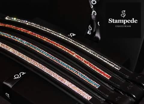 StampedeEq's tweet photo. Last few days to grab your two tone dog collars at a discount #dofsofinstagram #dogsoftwitter #goodvetguide https://t.co/zJzO2KEB0f