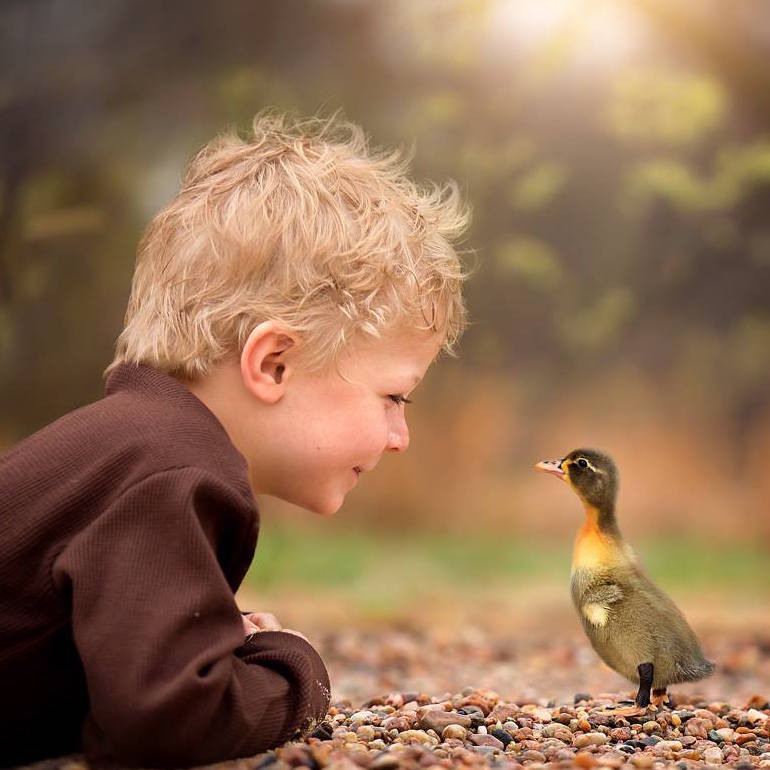 EarthPix's tweet image. Hello friend | Photo by Sara Hadenfeldt