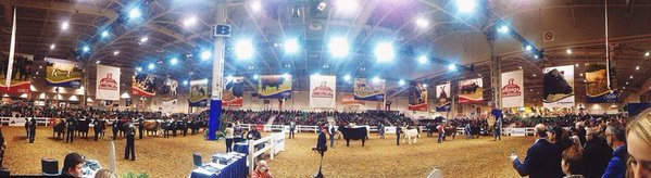 We are GIVING AWAY 2 tickets to <a href="/THERAWF/">The Royal Agricultural Winter Fair</a> (Royal​ Agricultural Winter Fair) TODAY! RT this and you can win!