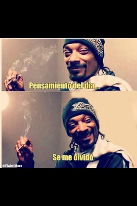 Zayperone's tweet photo. Jajaja,,#zpr,#zayperone https://t.co/zVDb7kIvrP