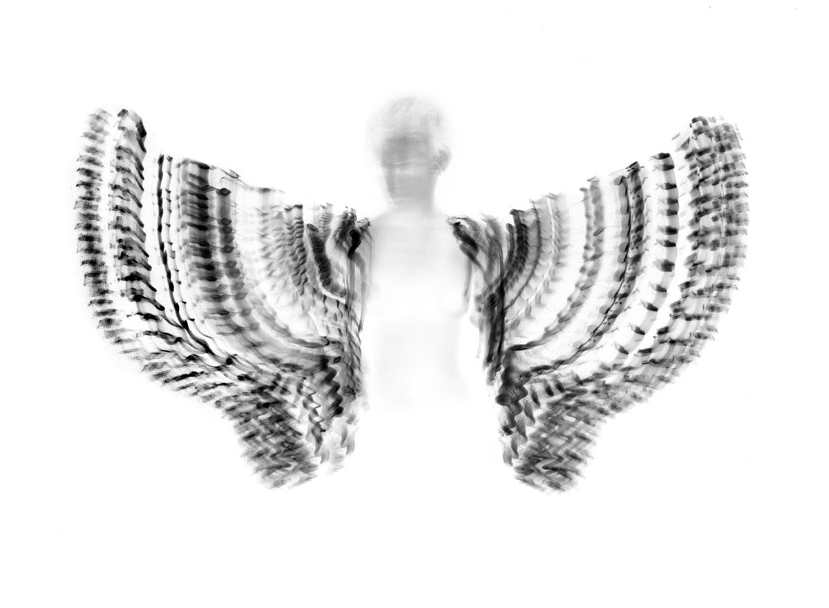 SOBOArts's tweet photo. See the amazing photography of @pt35mm Nov. 7th-8th at the Distillery, studio 109! https://t.co/g9TYCU5vDB https://t.co/zER9RLrcAk