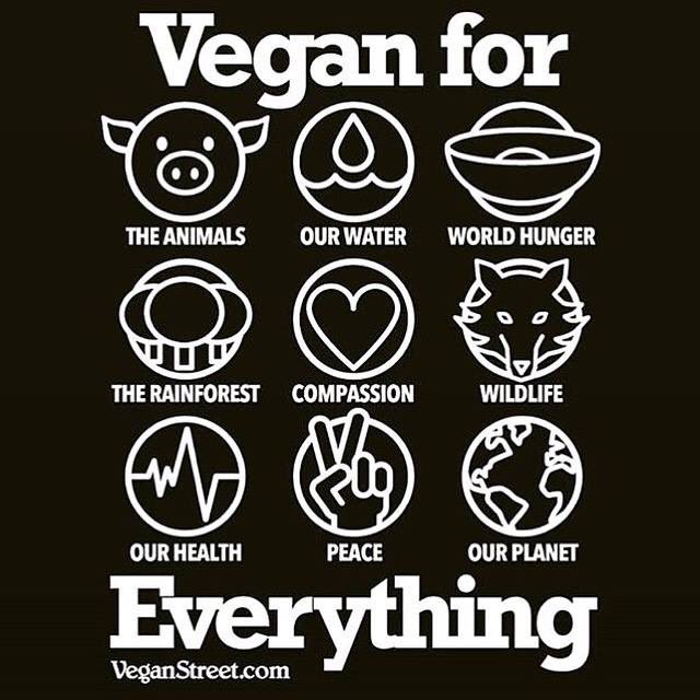 MeatingDemand's tweet photo. No reason not to be a #vegan .... https://t.co/lZQEEFgoIx