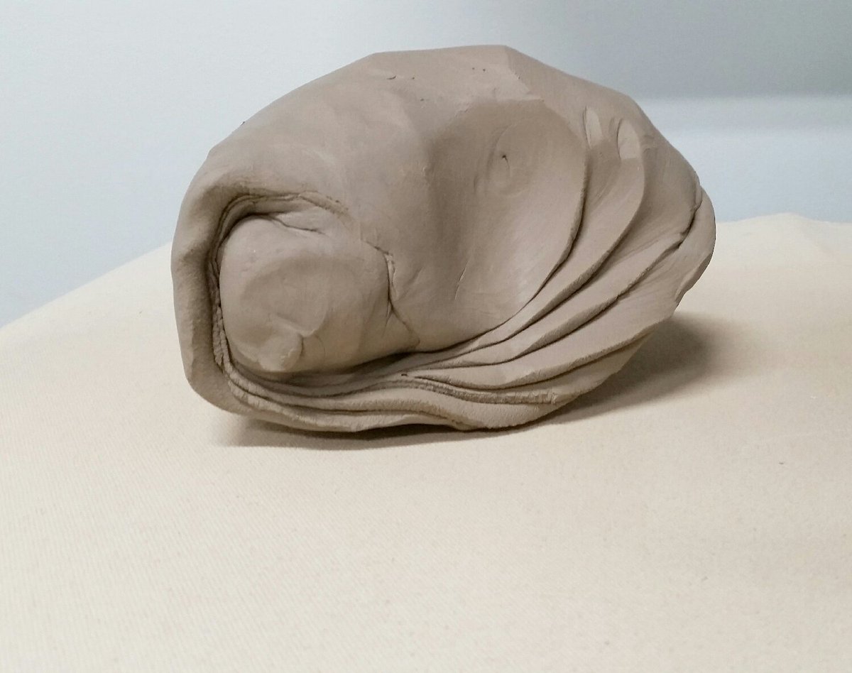 aundinwilson's tweet photo. A detail shot of my wedging technique. I love how you can see the spiraling in the clay. Fluidity stuck in time https://t.co/zYb6Suz6rM