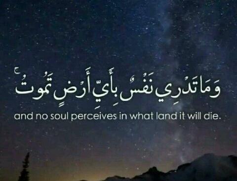 بنت نجد (@watsad53) on Twitter photo 