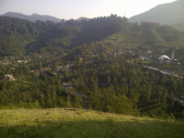eka23ramdani's tweet photo. Weekend, menghirup udara segar pagi hari @puncak-bogor https://t.co/fS2jpVJCyx