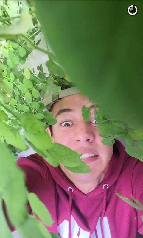 DolanMariana's tweet photo. @camerondallas  #AddCameronDallasOnSnapchat  hahaha and I still want this guy! Follow me Cam!🙏❤❤💘😍 https://t.co/iMZe327Fo0