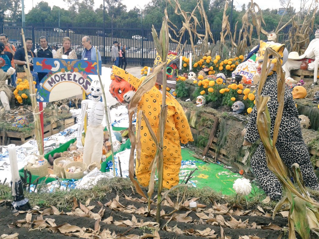 Antoni_Beck's tweet photo. #DiaDeMuertos #OfrendaUNAM https://t.co/EJWmYVI6h2