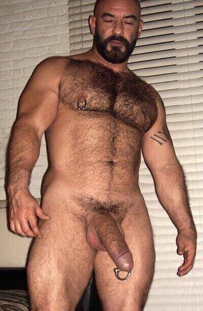 beefy_bears's tweet photo. Readyy @samoziv @hairymusclelvr @omaha_pal @horus_cock @Odd_Zack @Dodixcent @zr8g @MEN #Gay #gaybear https://t.co/jz377D1P7b