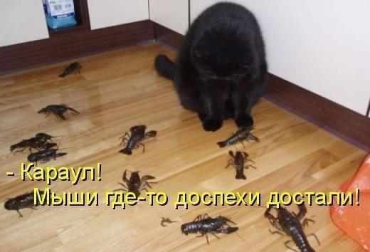 xoldem's tweet photo. https://t.co/DWG0zt2QHU