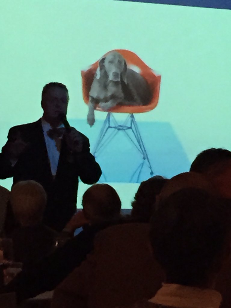 JLoMN's tweet image. What a #Wegman shot! #Weimaraner @HFLAnimals #FallFancyFeastGala
