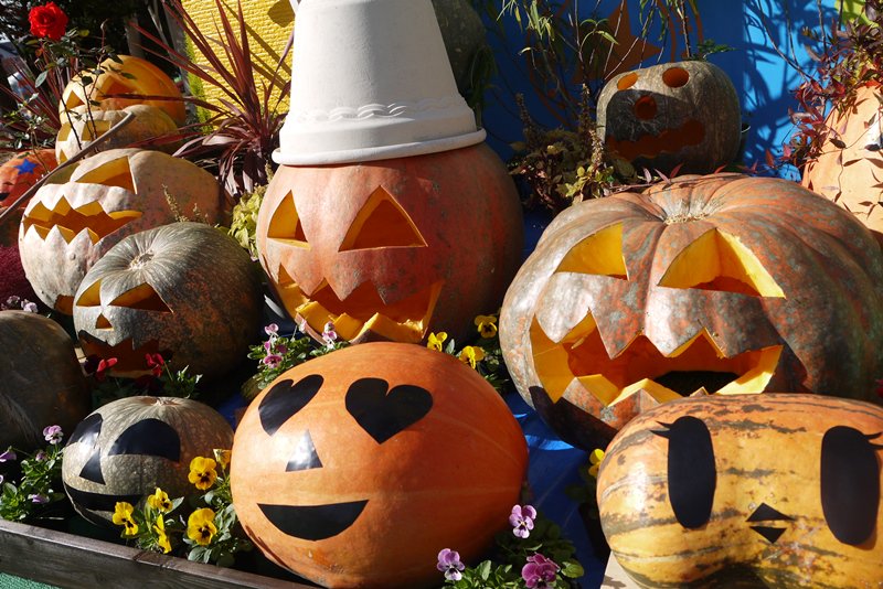東条湖おもちゃ王国 公式 Trick Ortreat 園内キッズ広場ステージにはハロウィンのオブジェが登場 このカボチャはおもちゃ王国のお兄さんたちが園内で育てた巨大カボチャなんです T Co Isuxlg79jp