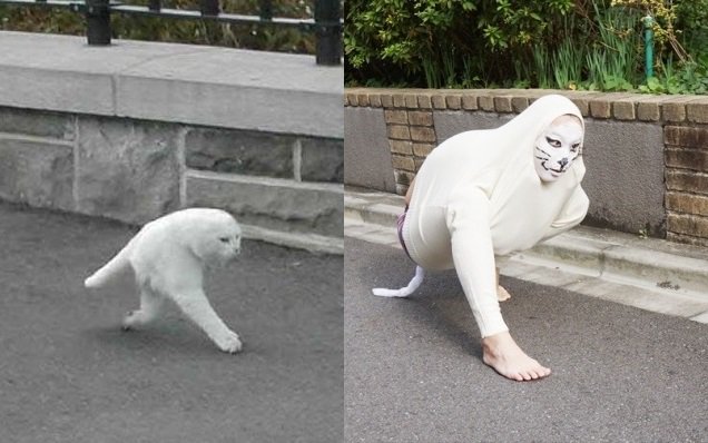 ✨🥳セブ山👊🤓 tweet media