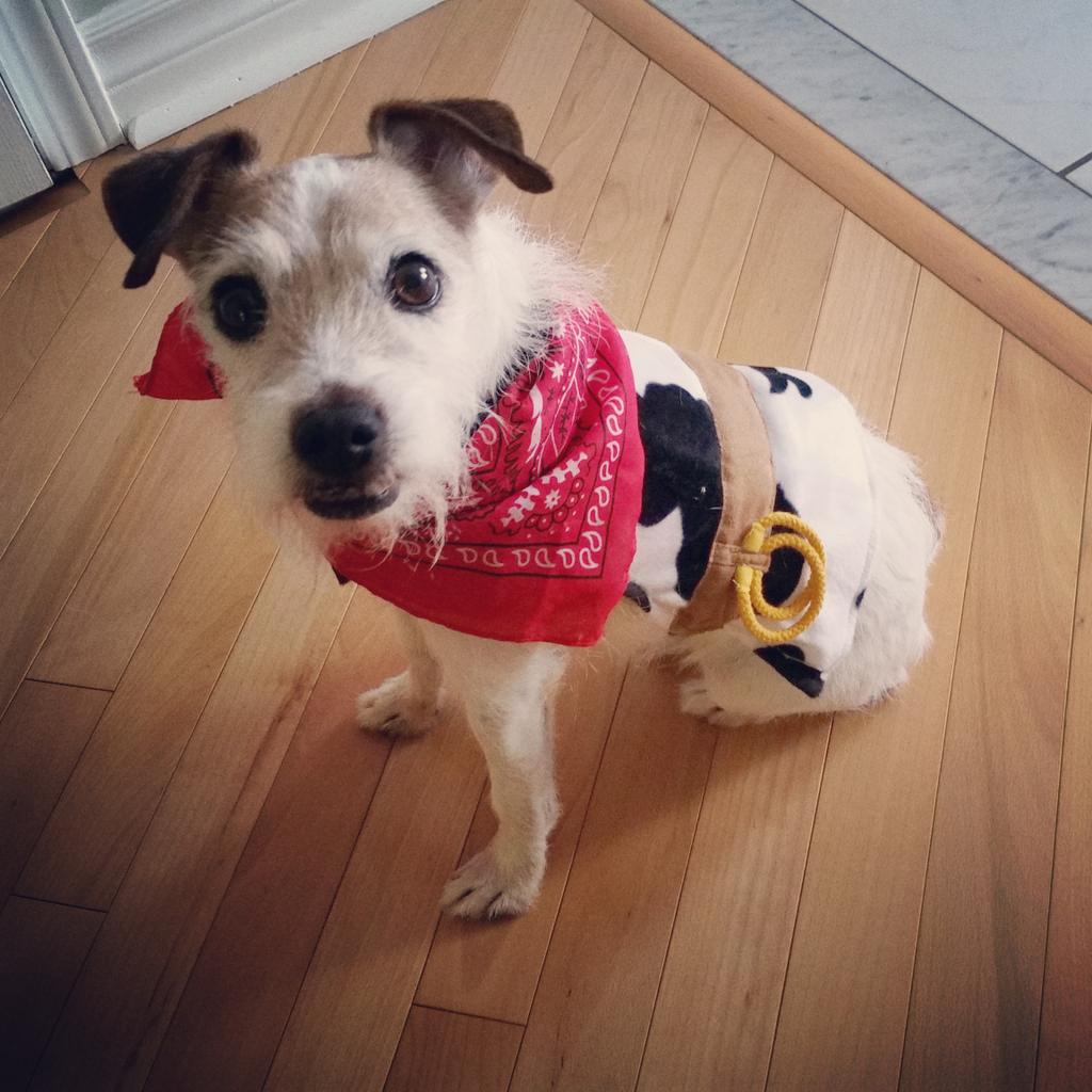 hbilty's tweet image. Halloween ready.