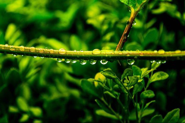 Llovizna #QueBuenaFoto // foto por <a href="/Anthonysoto_DG/">Anthony soto</a>