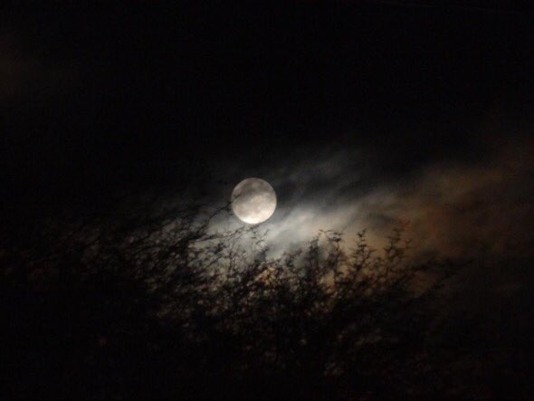 Luna #QueBuenaFoto // foto por <a href="/HeJhh/">Joaquin Hernandez</a>