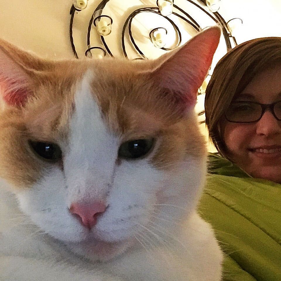 Vacations &amp; conferences are wonderful, but it's always good to come home. #catsofinstagram… ift.tt/1KLN30u