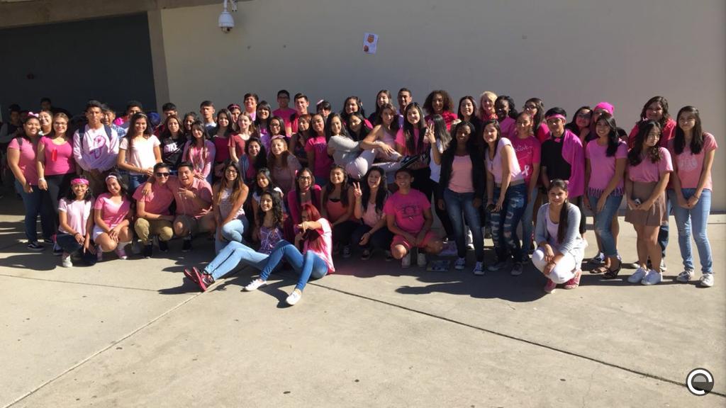 ayaz_m15's tweet photo. Pink Out! 🎀💕 #SnapDHS #Classof2016 #B16Family #BreastCancerAwarenessMonth https://t.co/QgWVyXTGnv